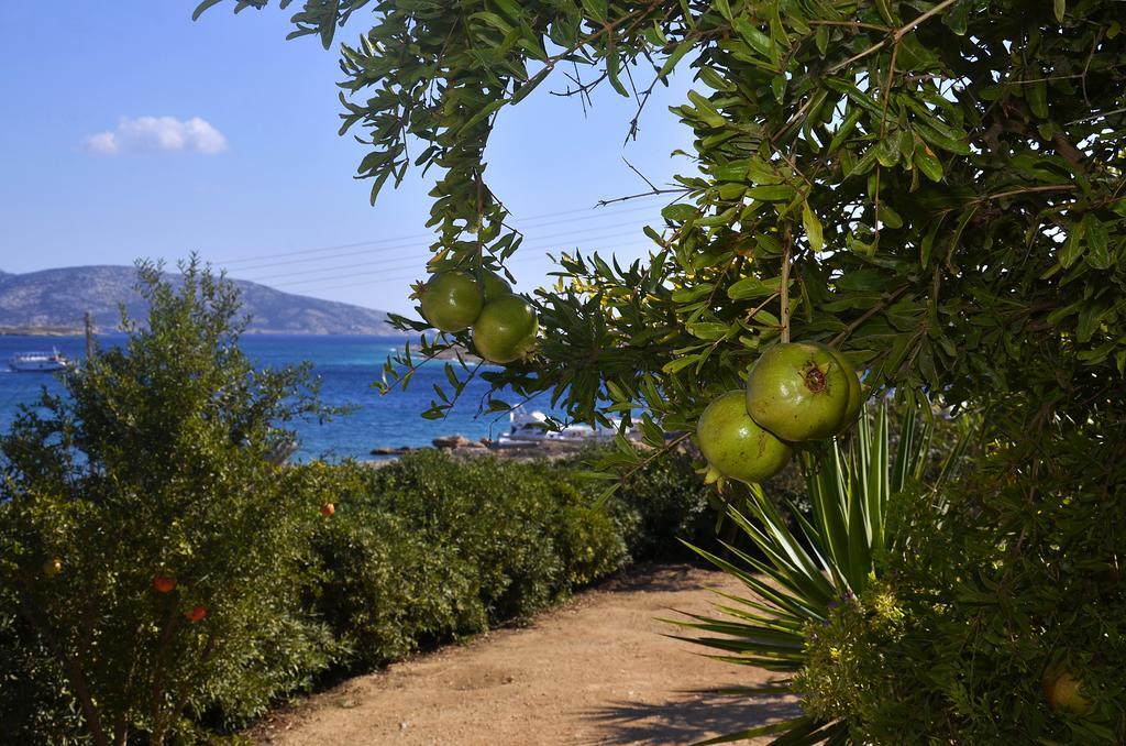 Onar Studios Koufonisia المظهر الخارجي الصورة